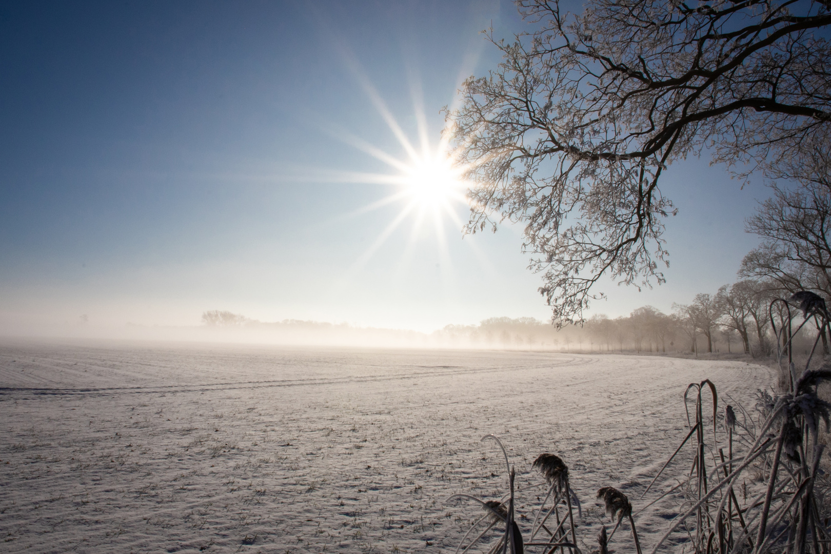 Wintersonne