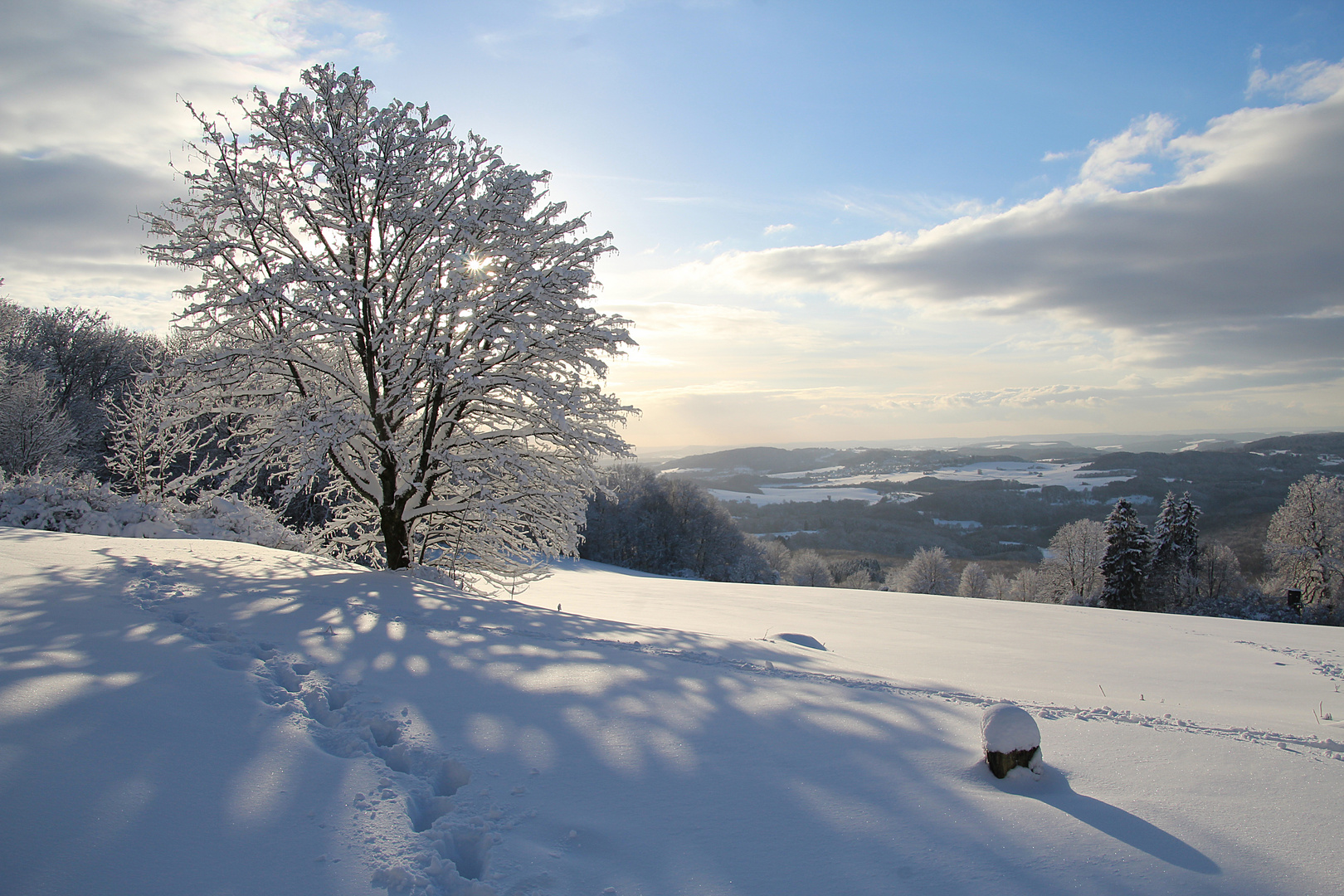 Wintersonne