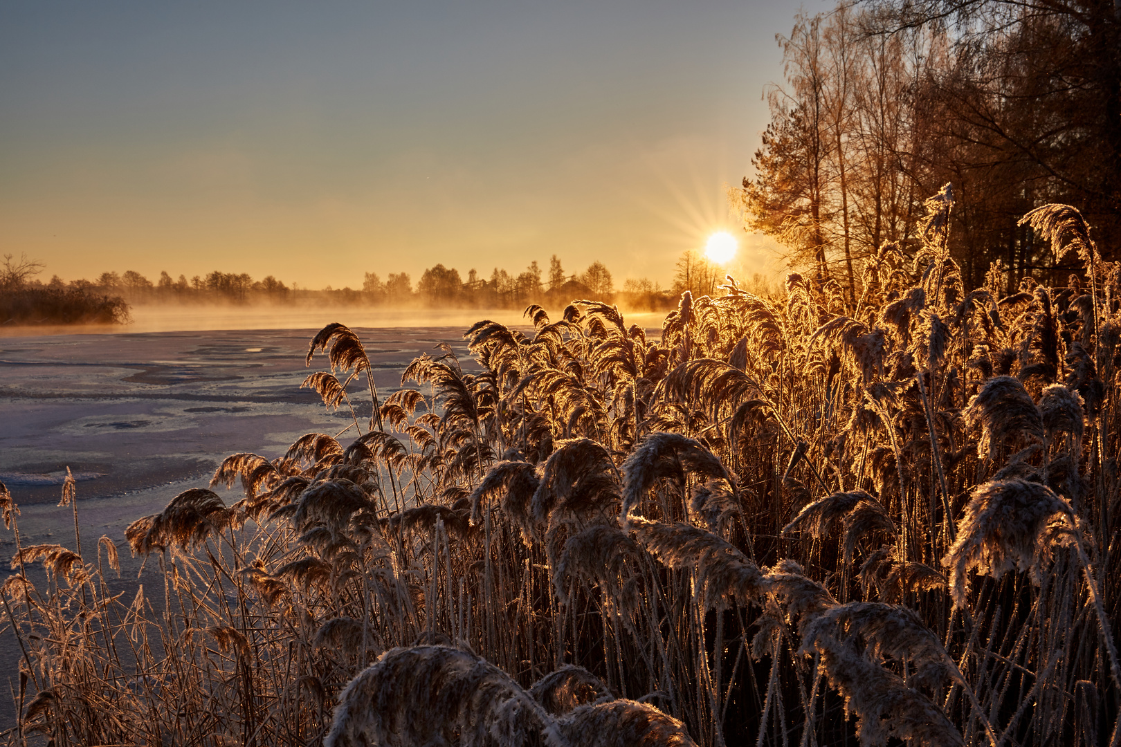 Wintersonne