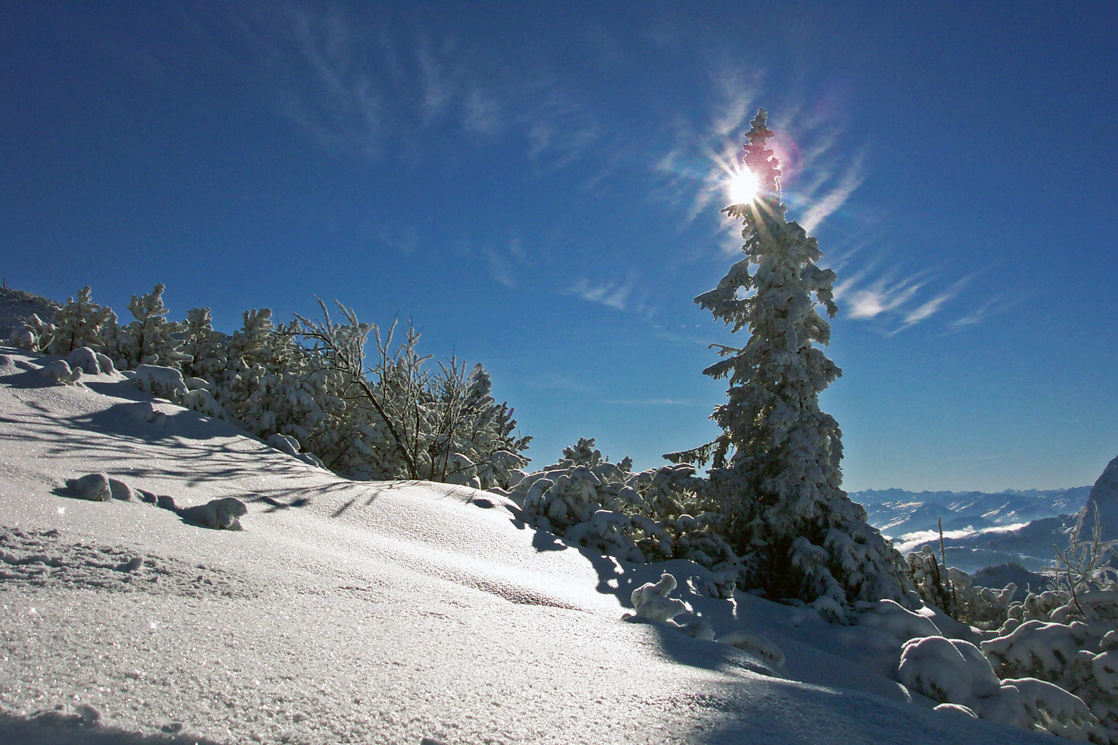 Wintersonne