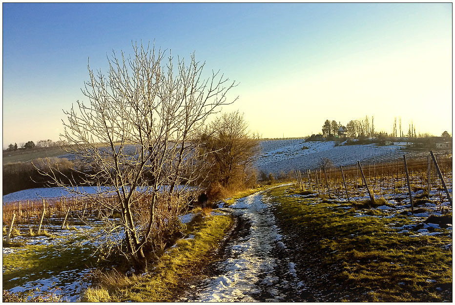 Wintersonne