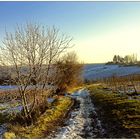 Wintersonne