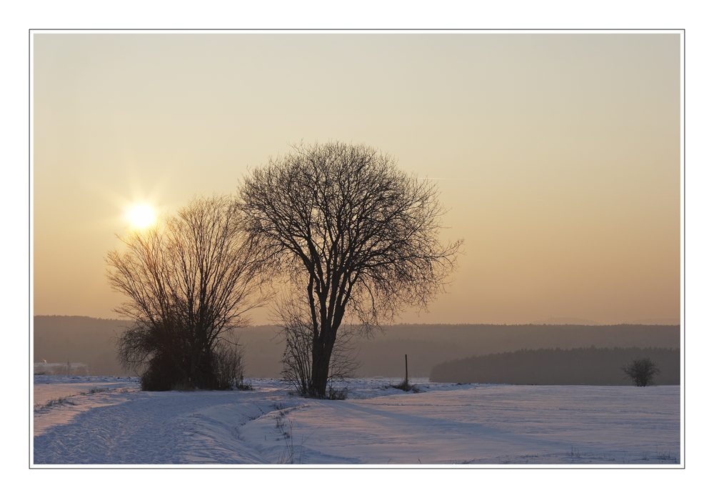 Wintersonne