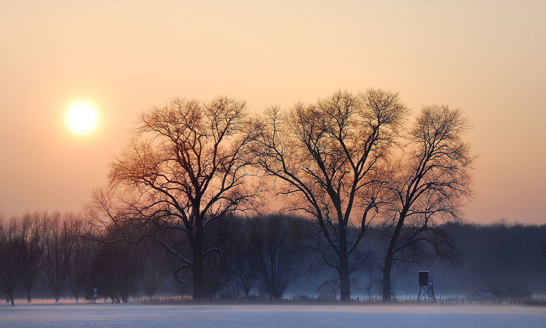 Wintersonne