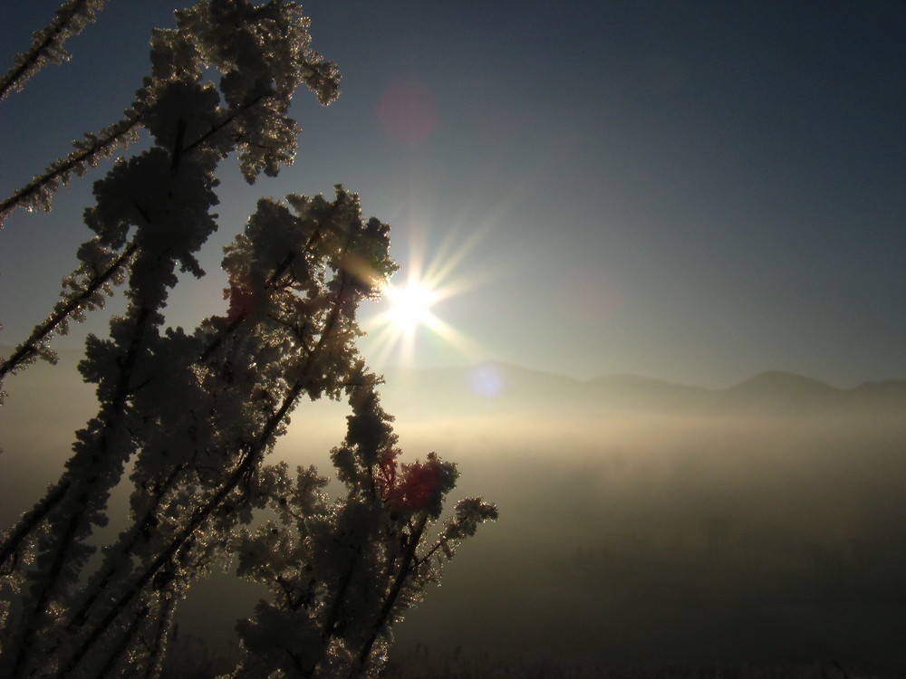 Wintersonne