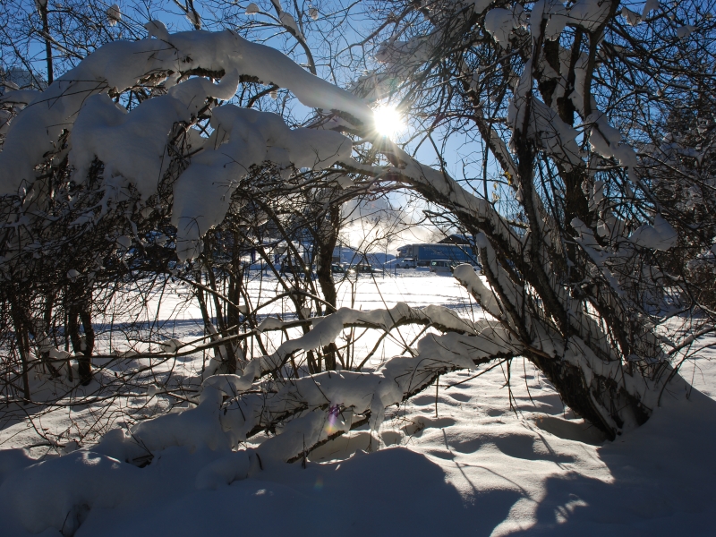 Wintersonne