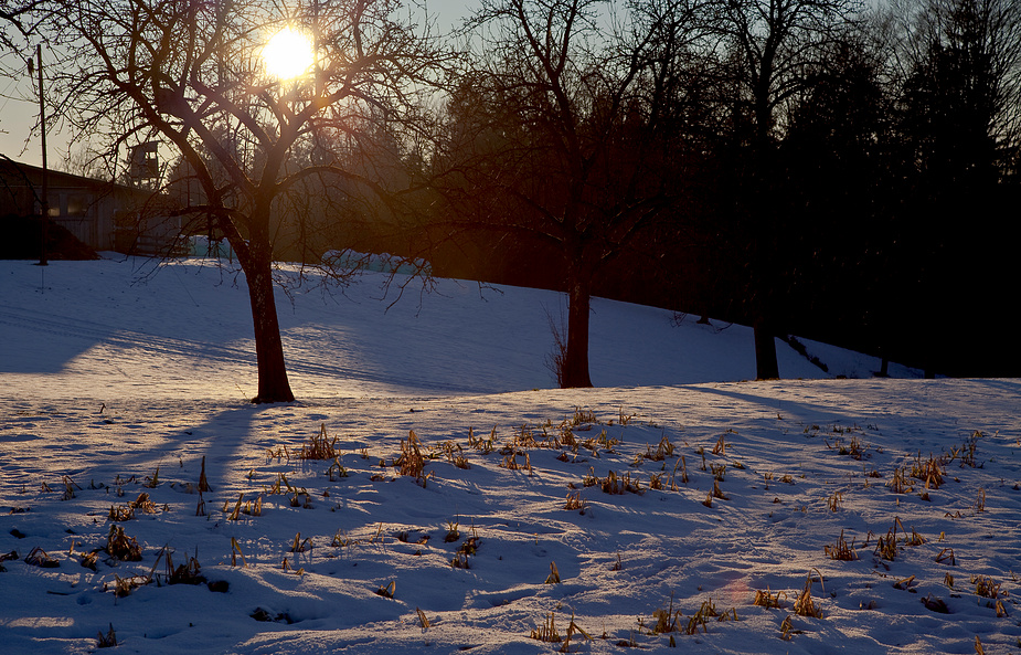 Wintersonne