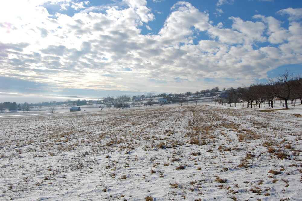 Wintersonne von Lisyyy 