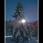 Wintersonne