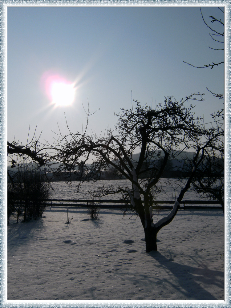 Wintersonne