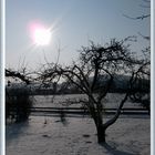 Wintersonne