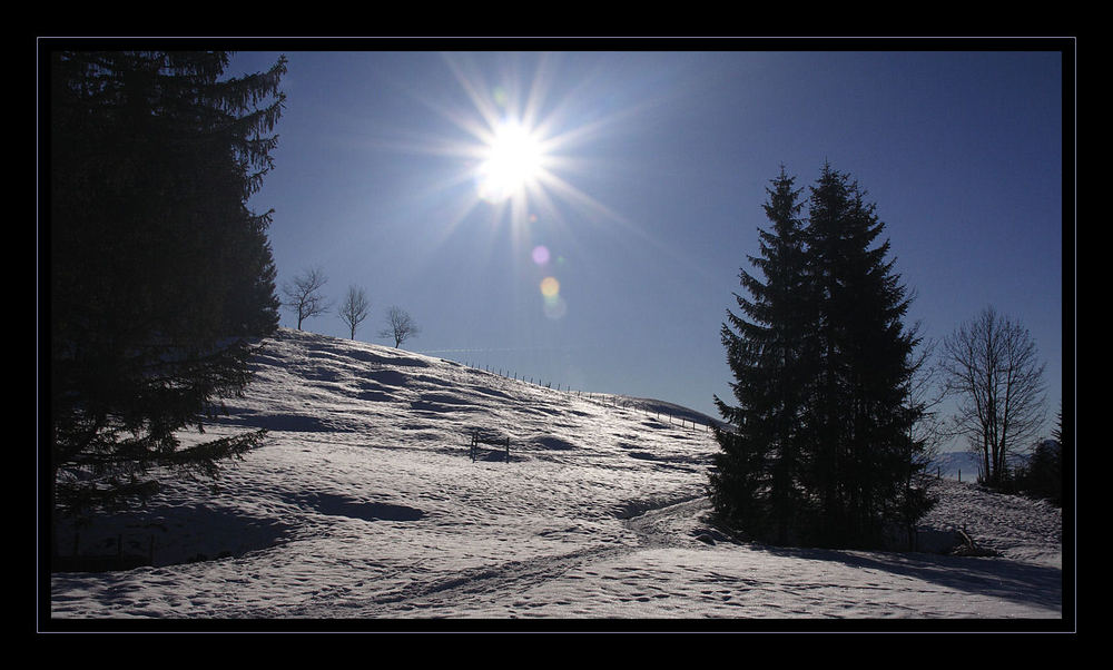 Wintersonne