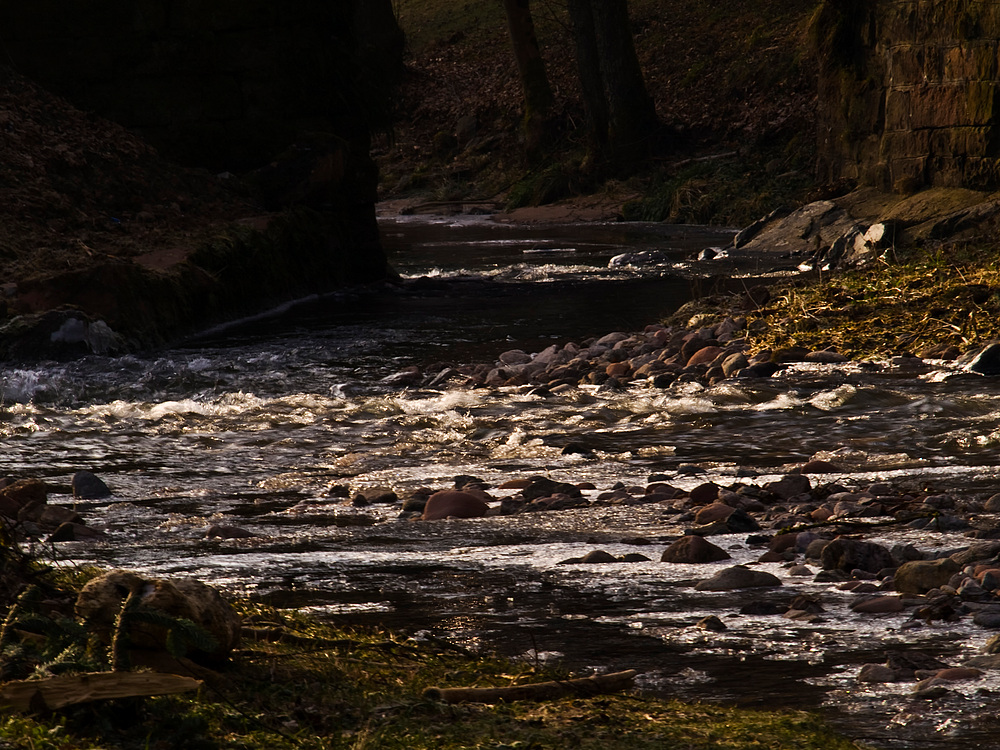 Wintersonne am Bach