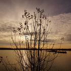 Wintersonne am Baggersee