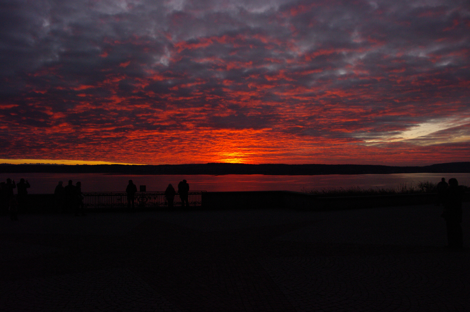 Wintersonne am Bodensee