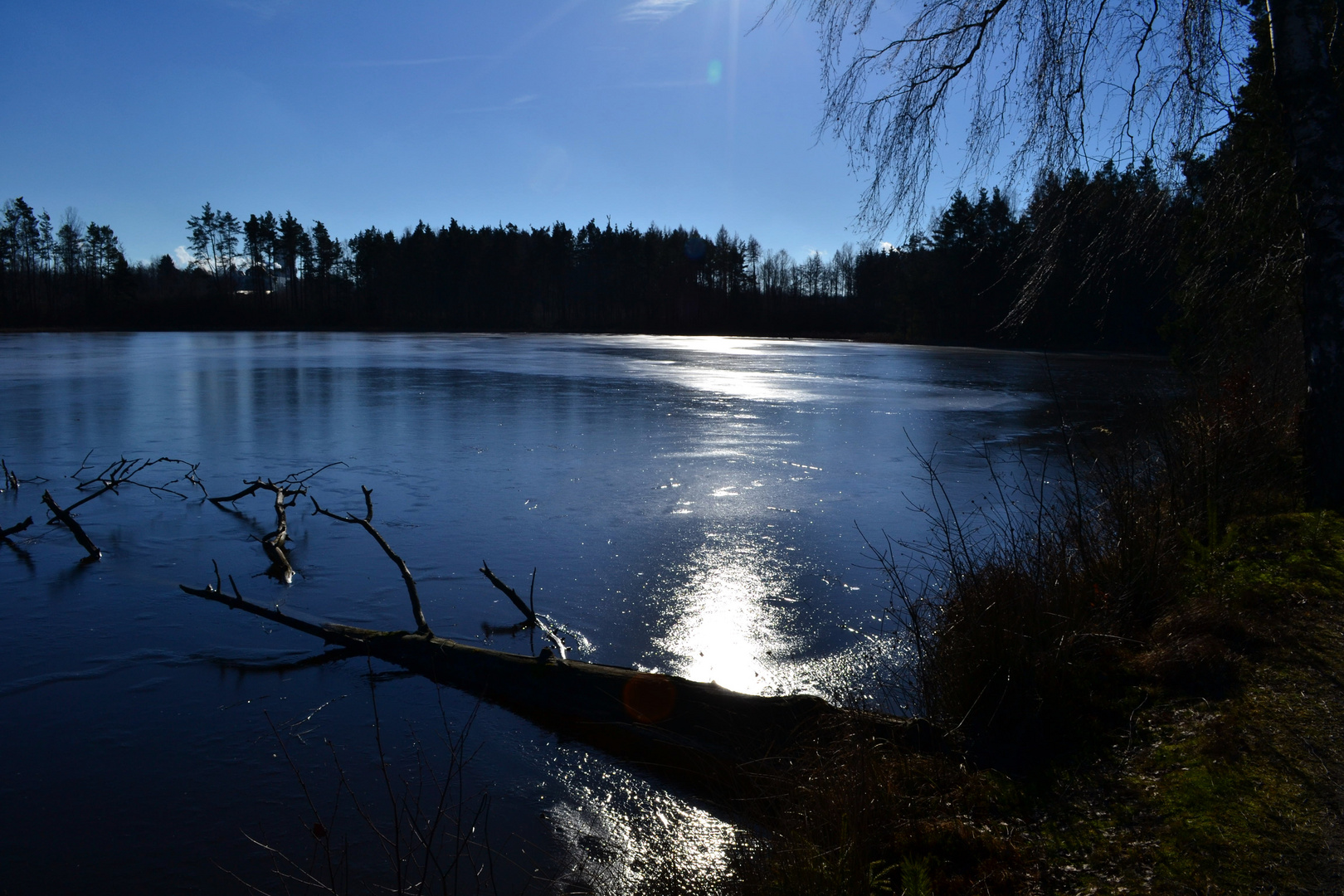 Wintersonne am Englmannsteich - 29. Januar 2016