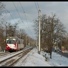 Wintersonne am Exerzierplatz