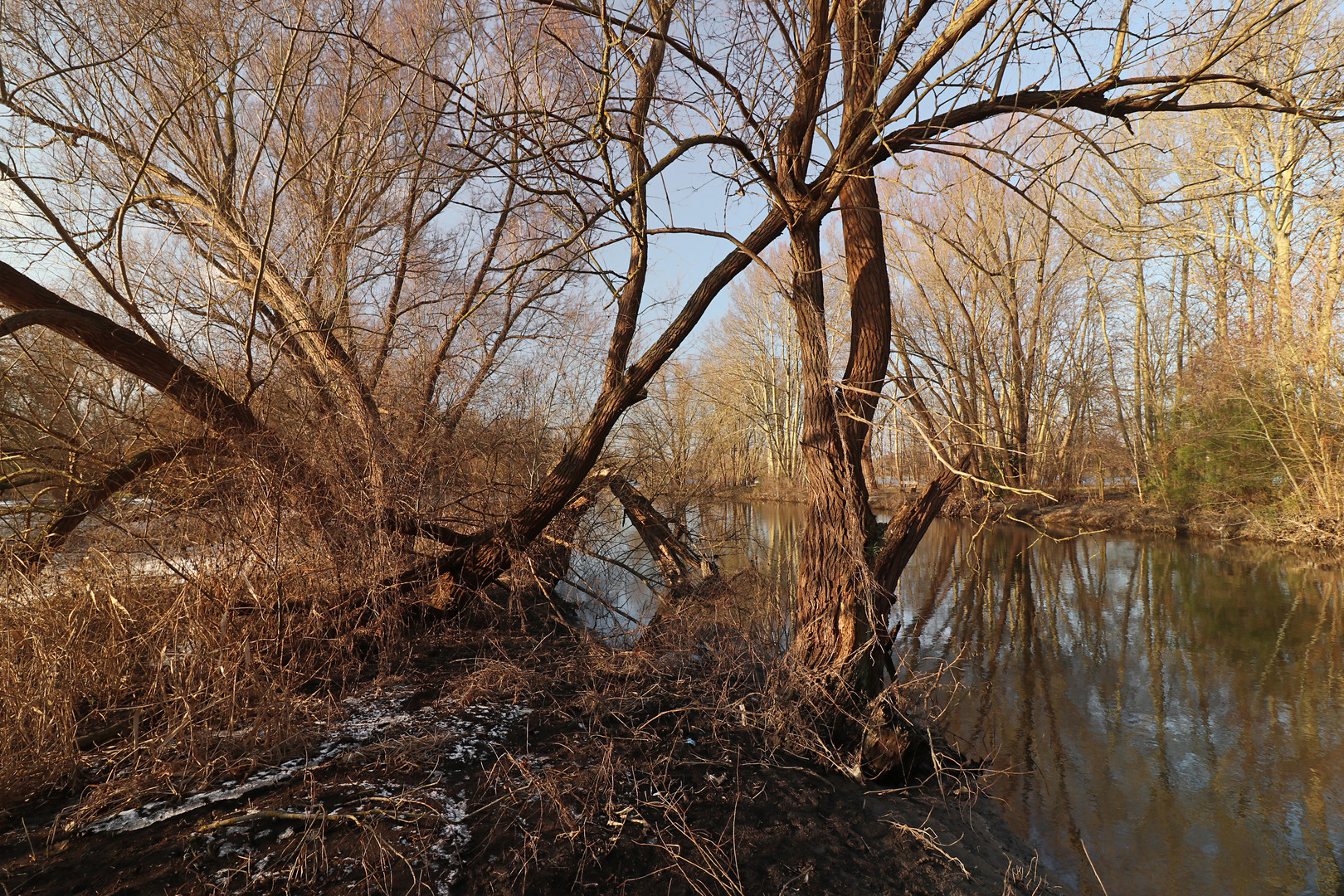 Wintersonne am Fluss