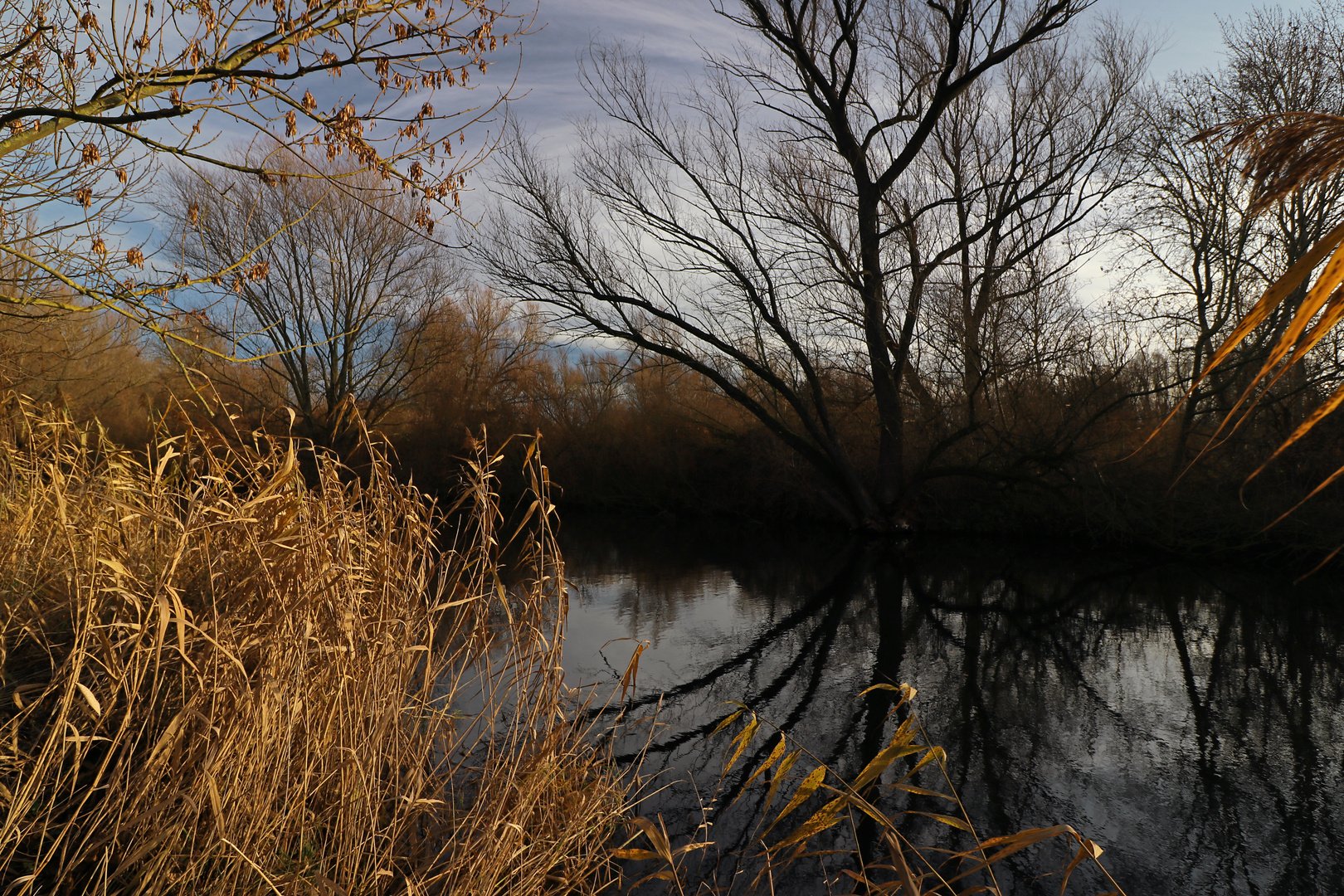 Wintersonne am Flussufer