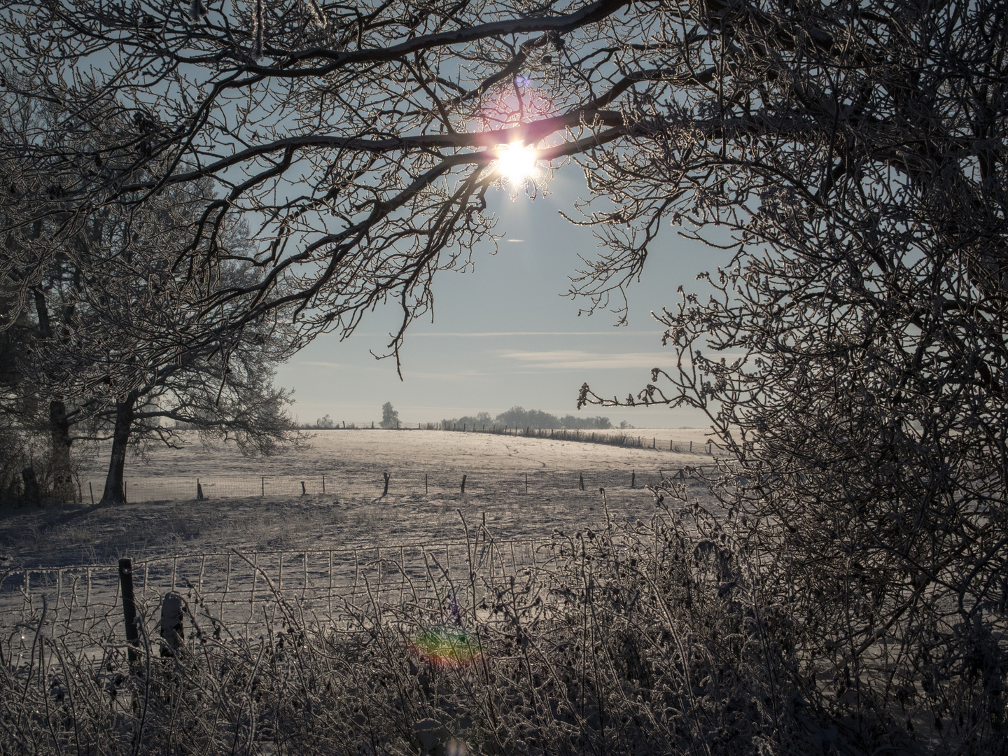 Wintersonne am Hohen Berg bei Ristedt