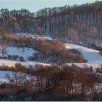 Wintersonne am Holzberg... 