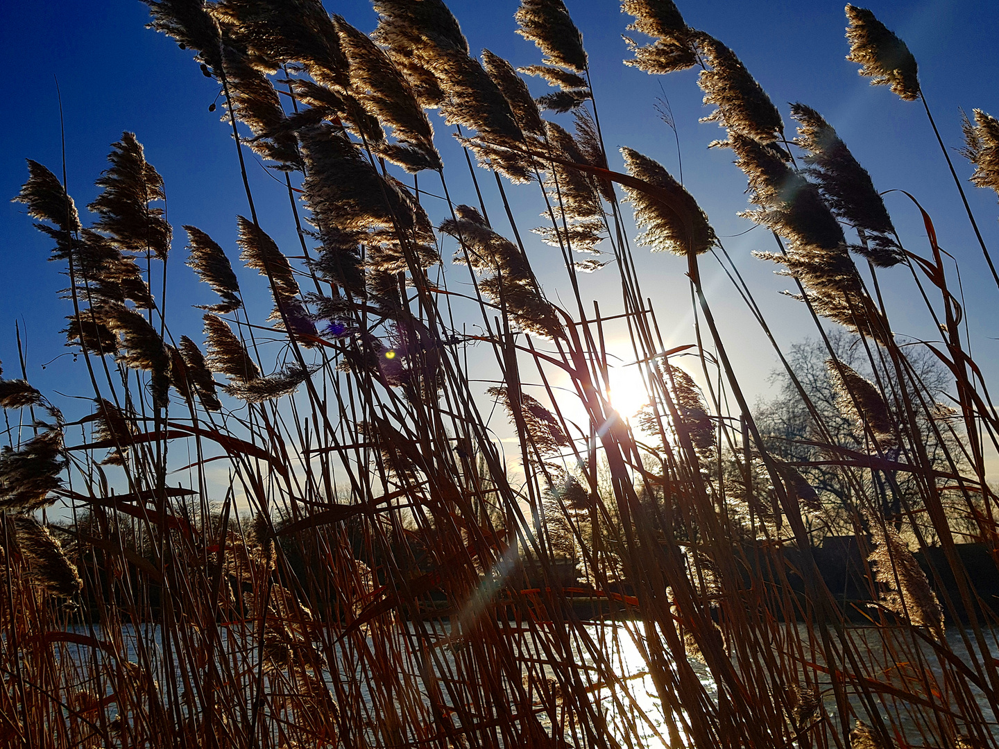 Wintersonne am Kanal