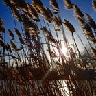 Wintersonne am Kanal