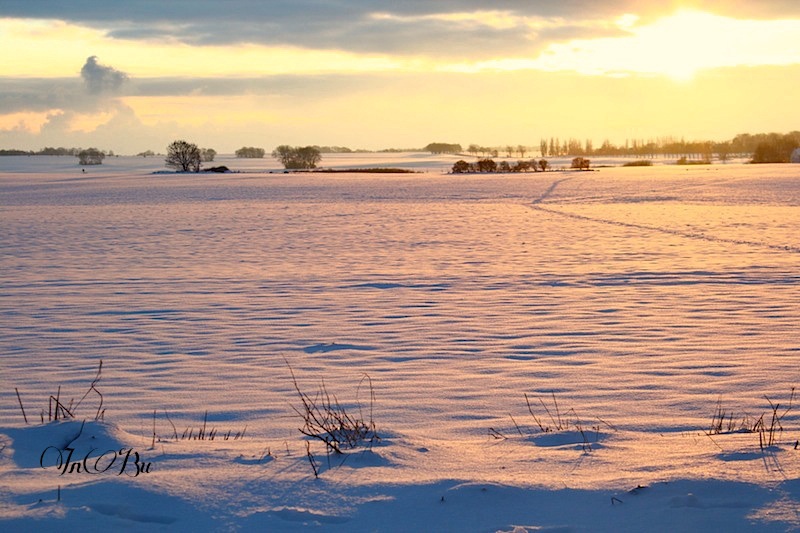 Wintersonne am Kap Arkona