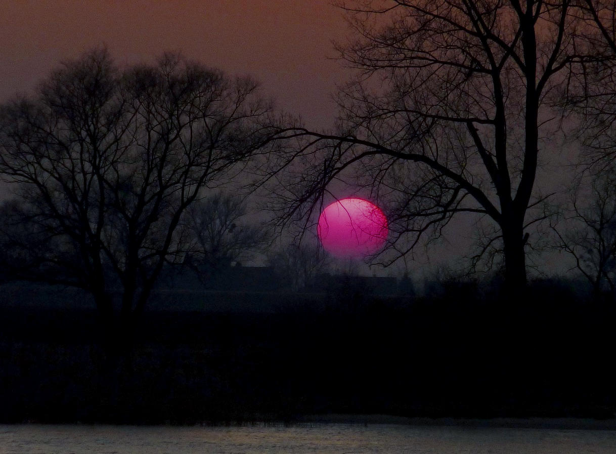 Wintersonne am Rhein