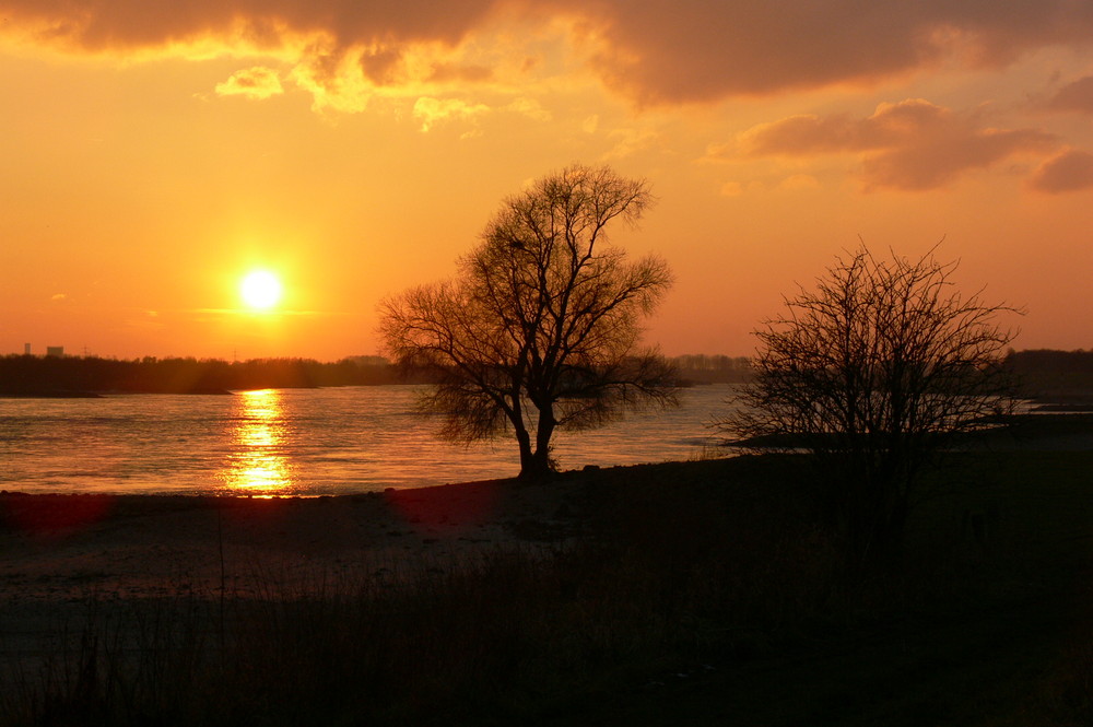 Wintersonne am Rhein (Wesel)