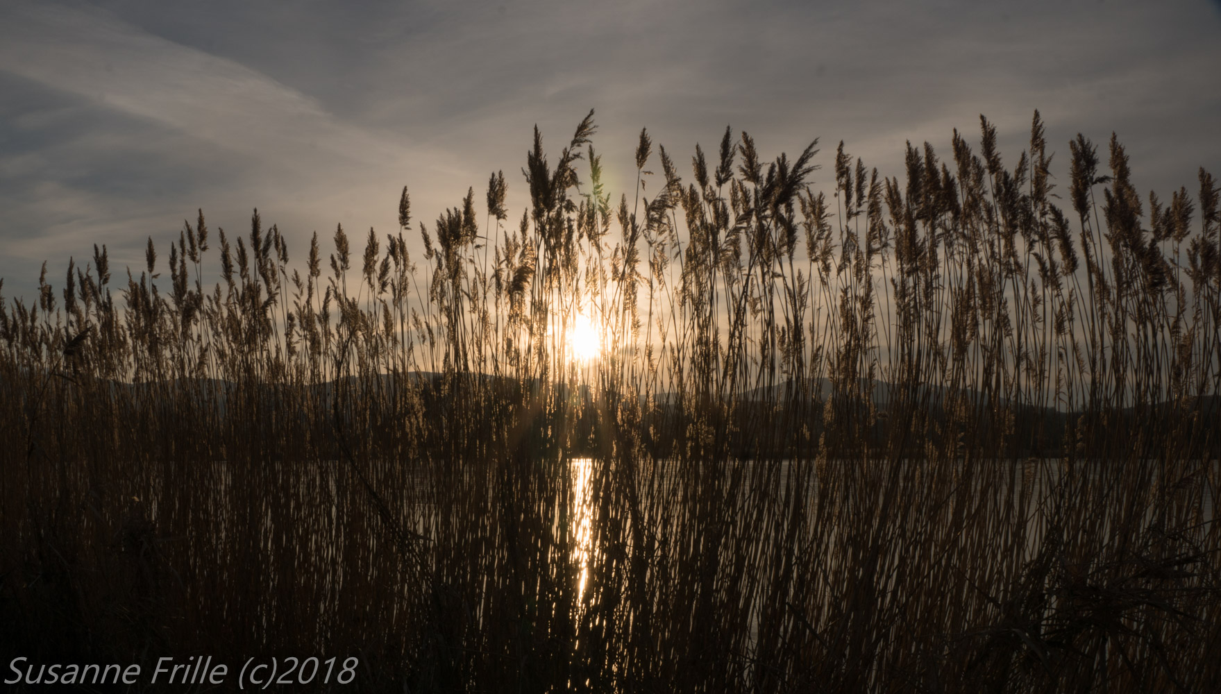 Wintersonne am Teich