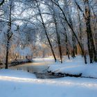 Wintersonne am Waldsee