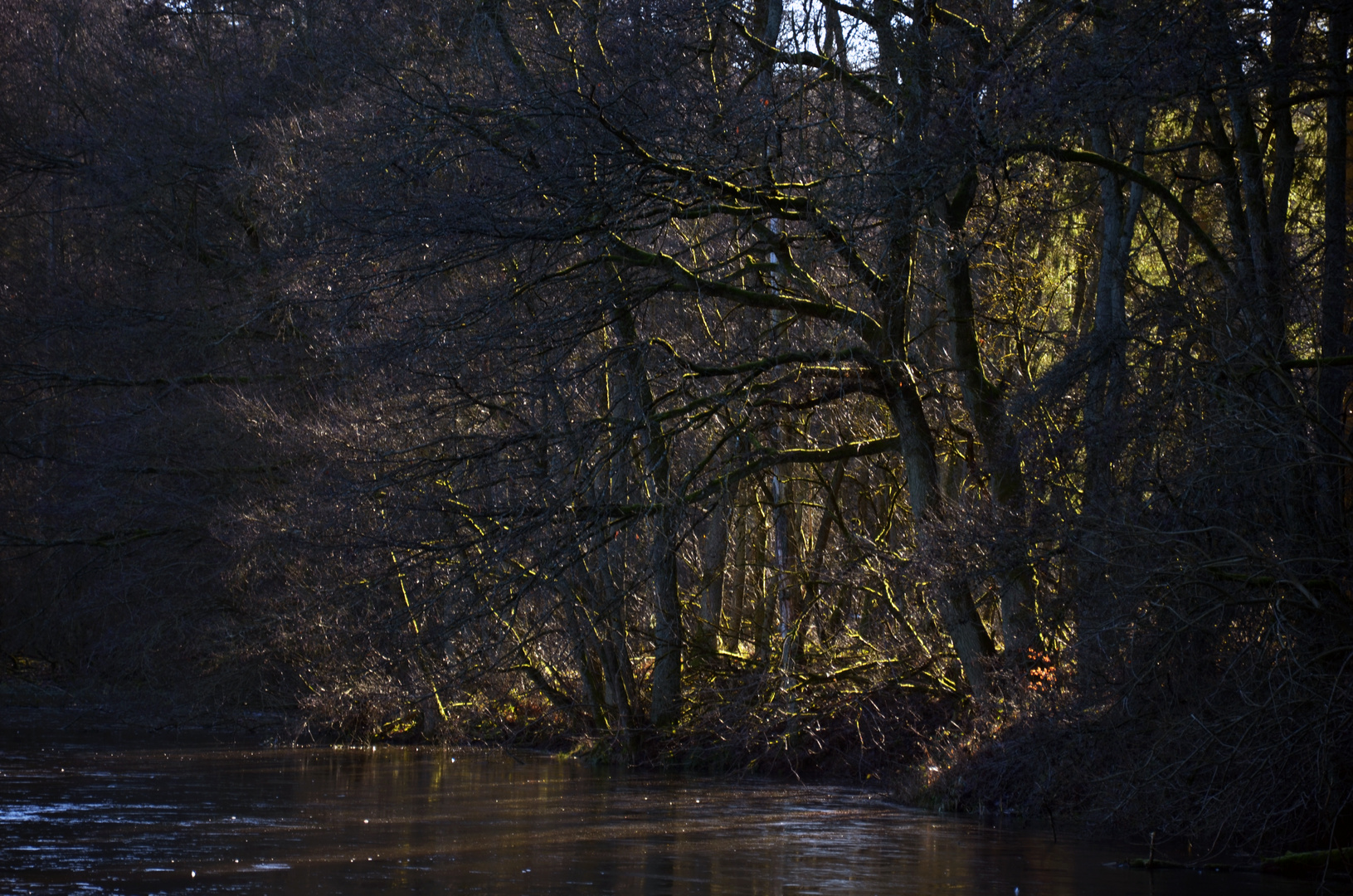 Wintersonne am Waschteich