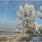 Wintersonne an der Alten Elbe