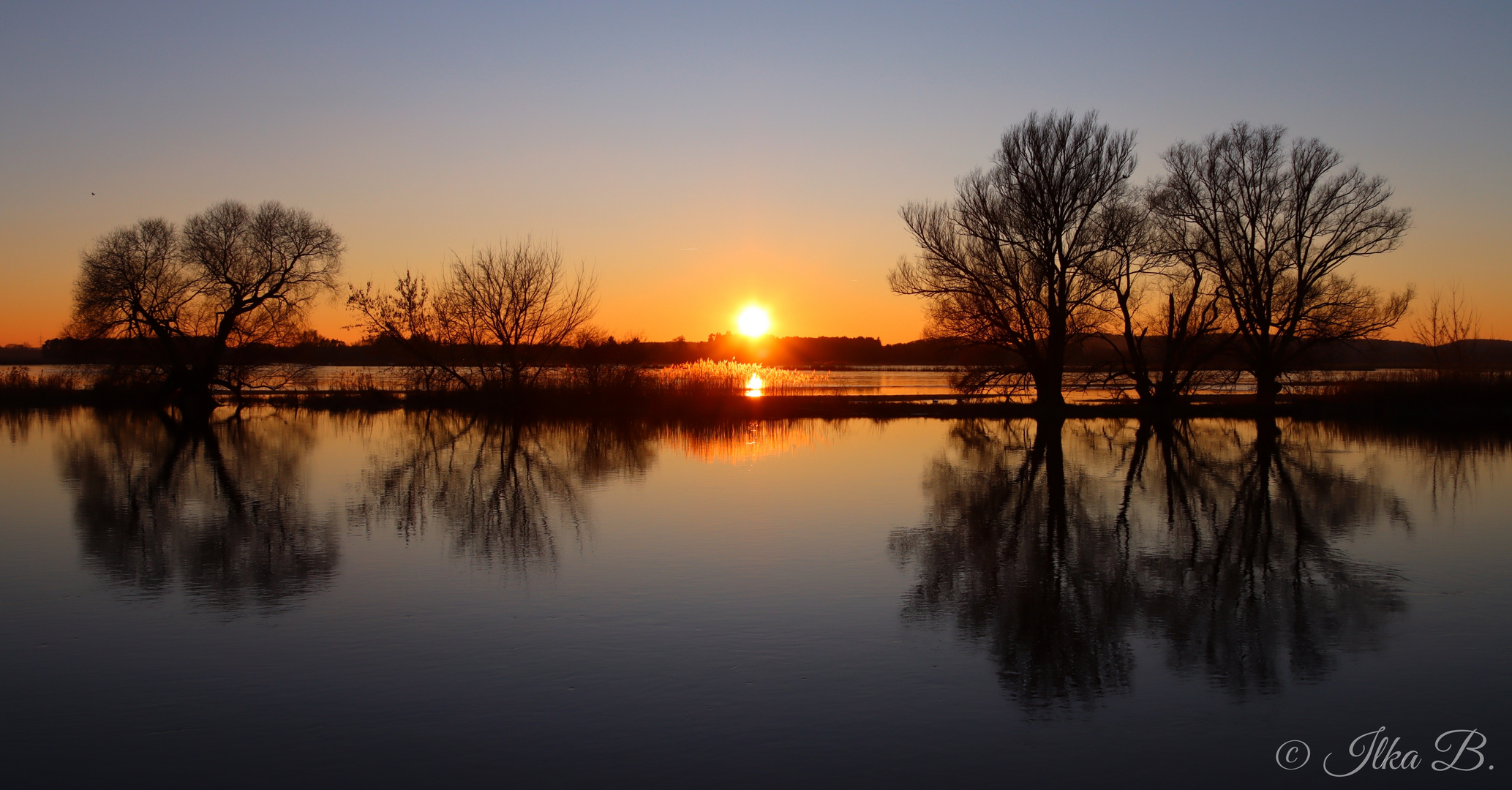 Wintersonne an der Havel 