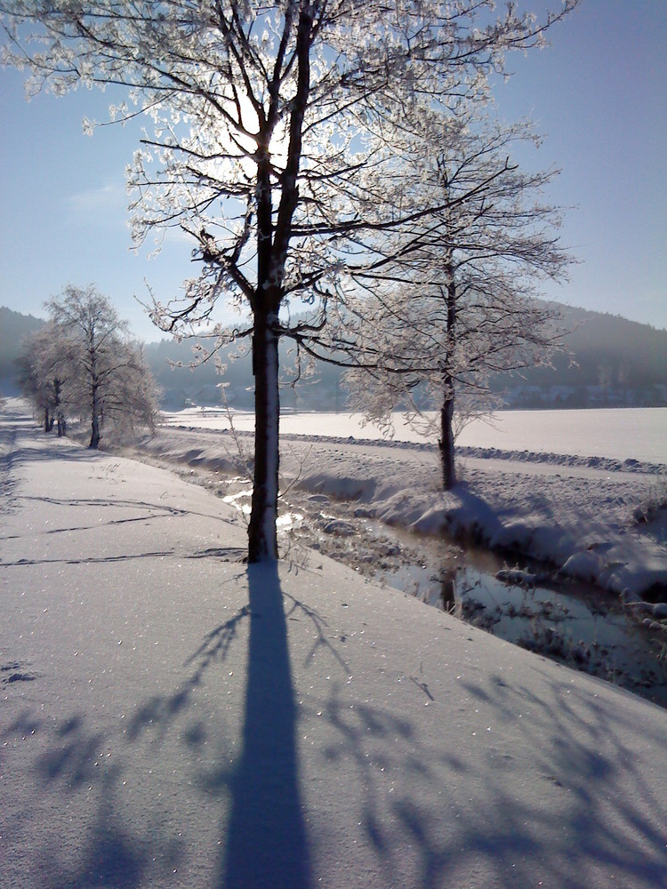 Wintersonne an der Lauchert