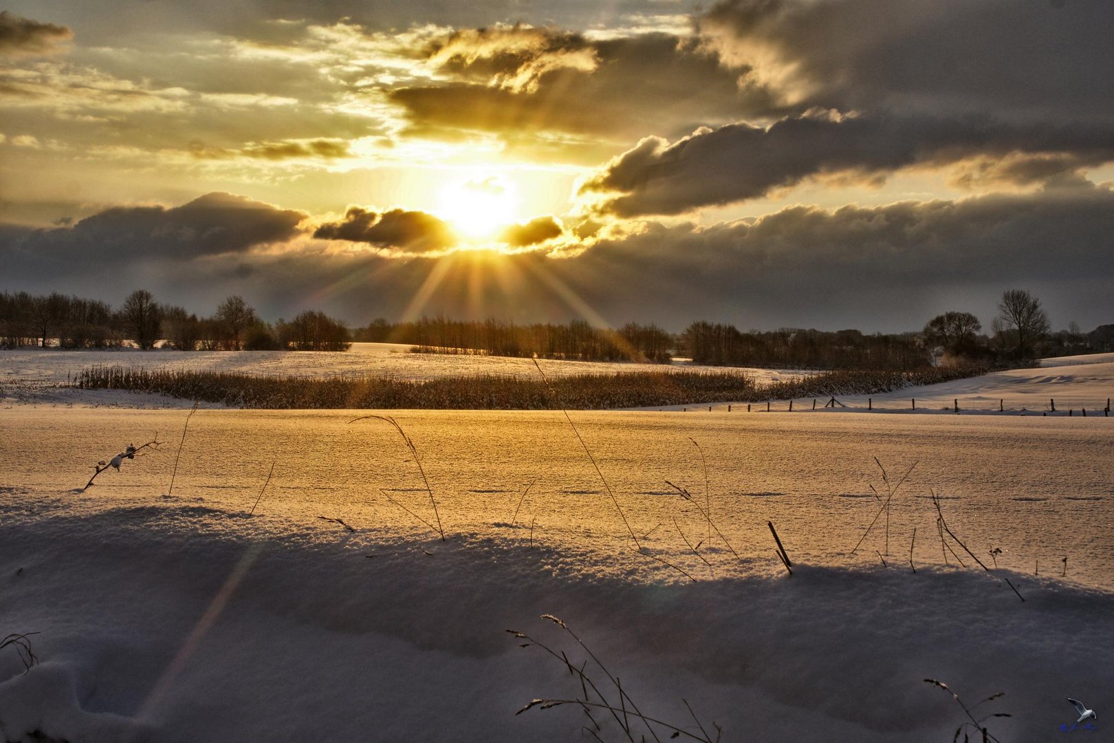 Wintersonne an der Schlei