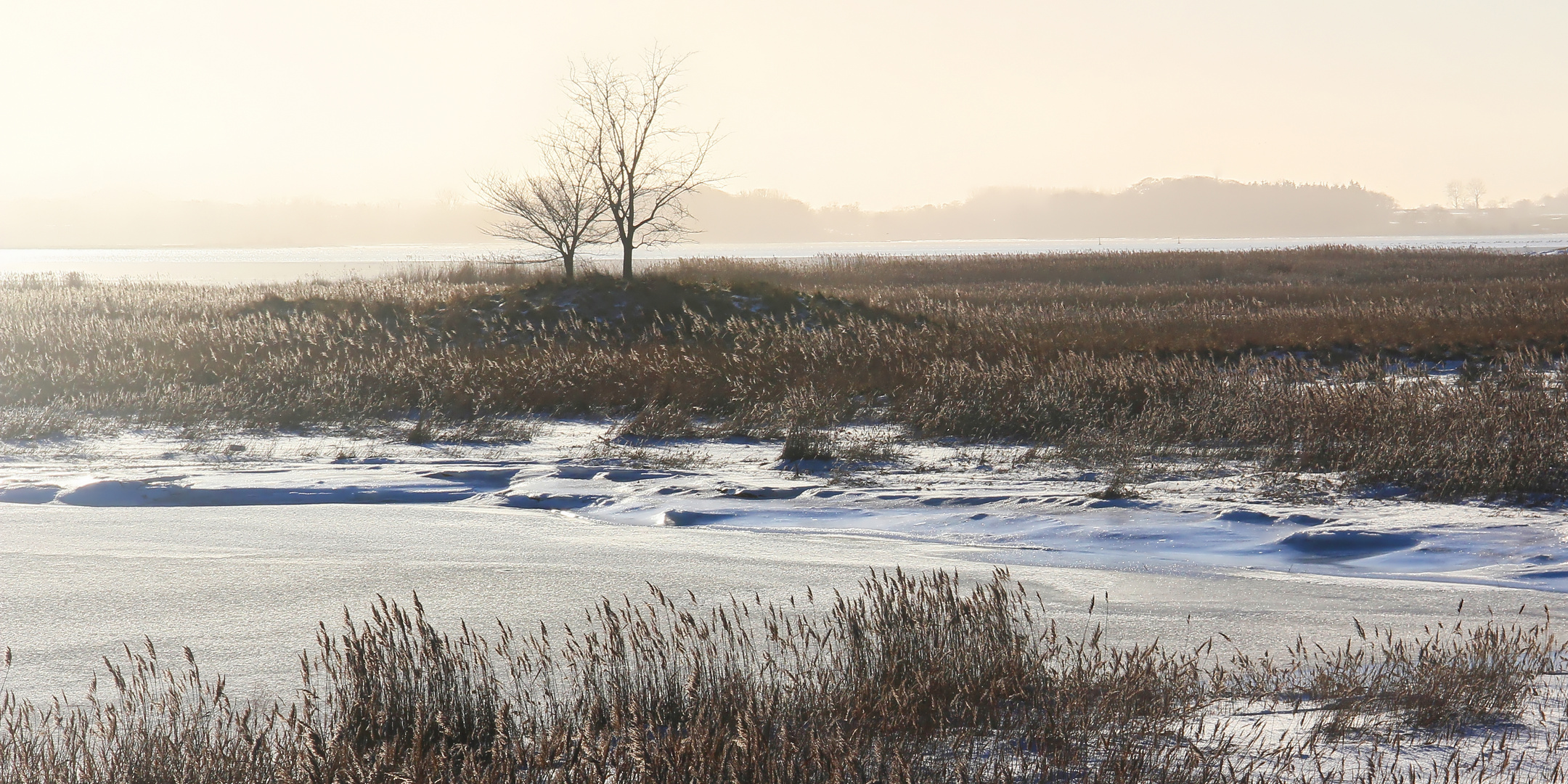 Wintersonne an der Schleimündung