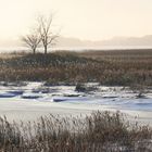 Wintersonne an der Schleimündung