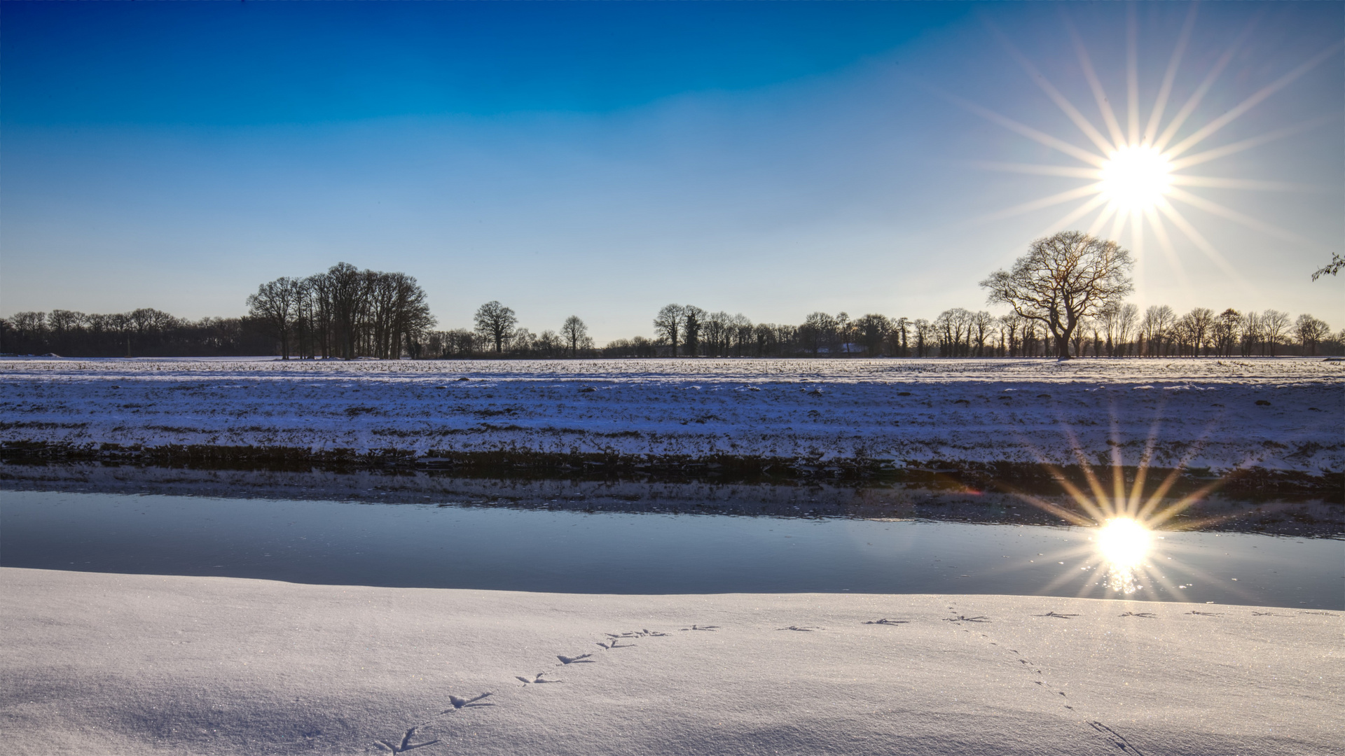 *** Wintersonne an der Vechte ***