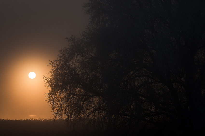 Wintersonne an der Weser