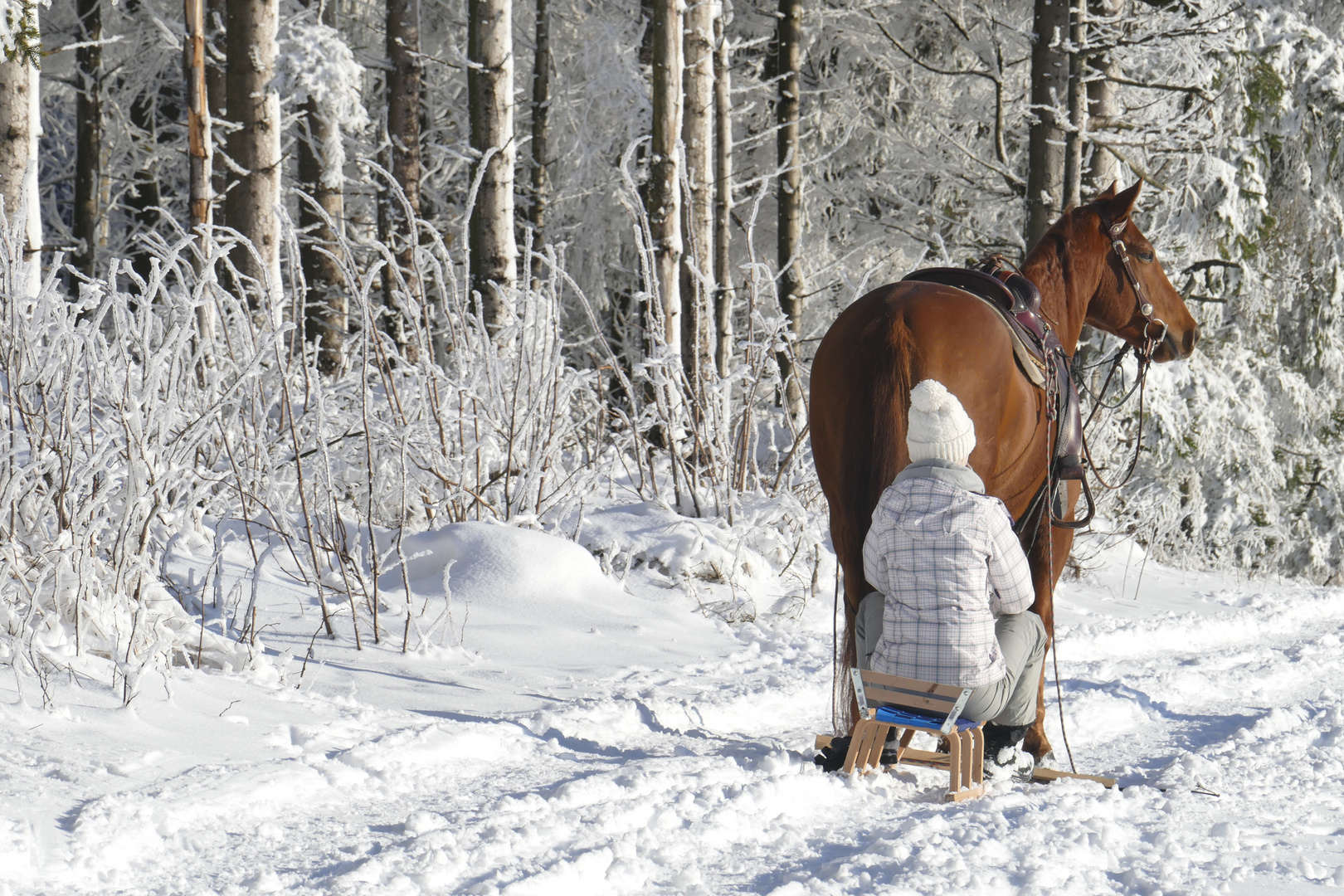 ...Wintersonne auch für`s Pferd...