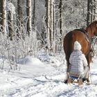 ...Wintersonne auch für`s Pferd...
