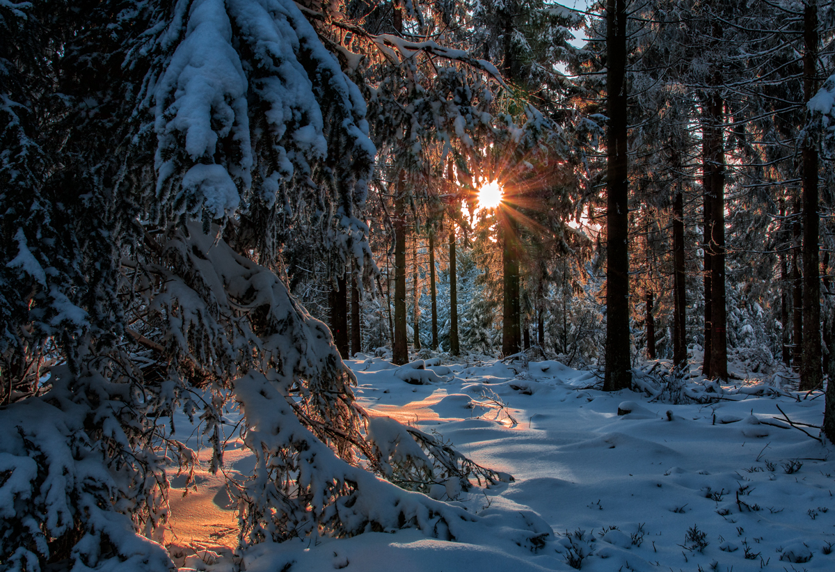 Wintersonne auf dem Erbeskopf