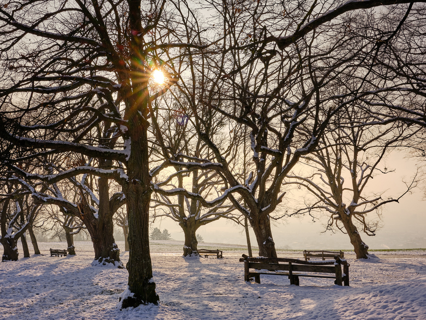 Wintersonne auf dem Tüllinger Berg