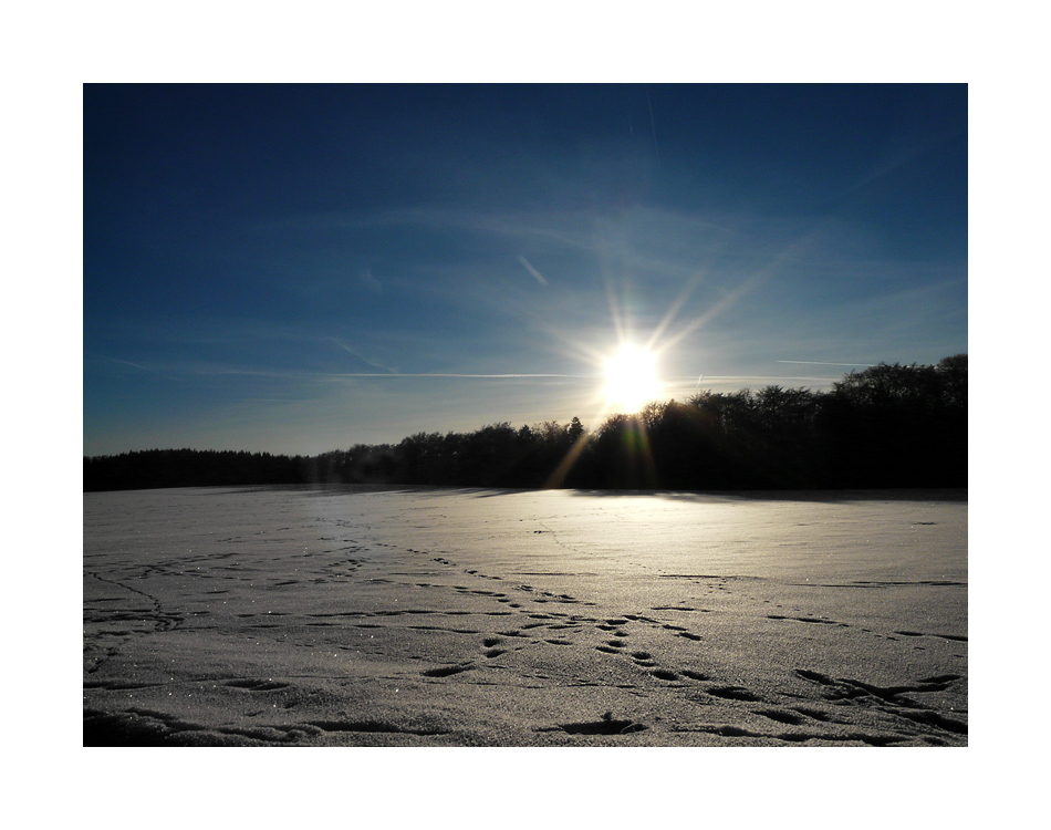 Wintersonne auf der Albhochfläche