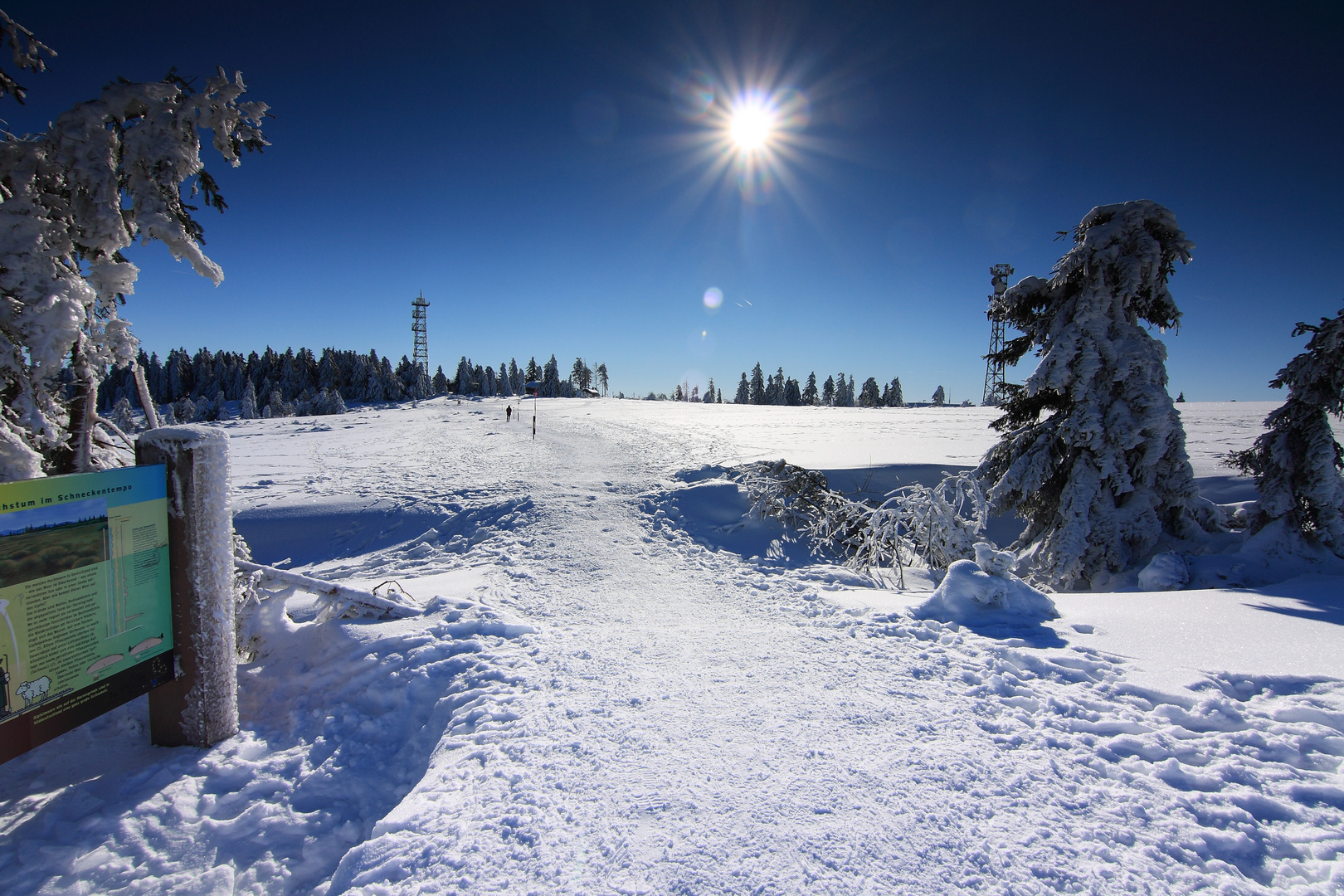 Wintersonne auf der Hornisgrinde