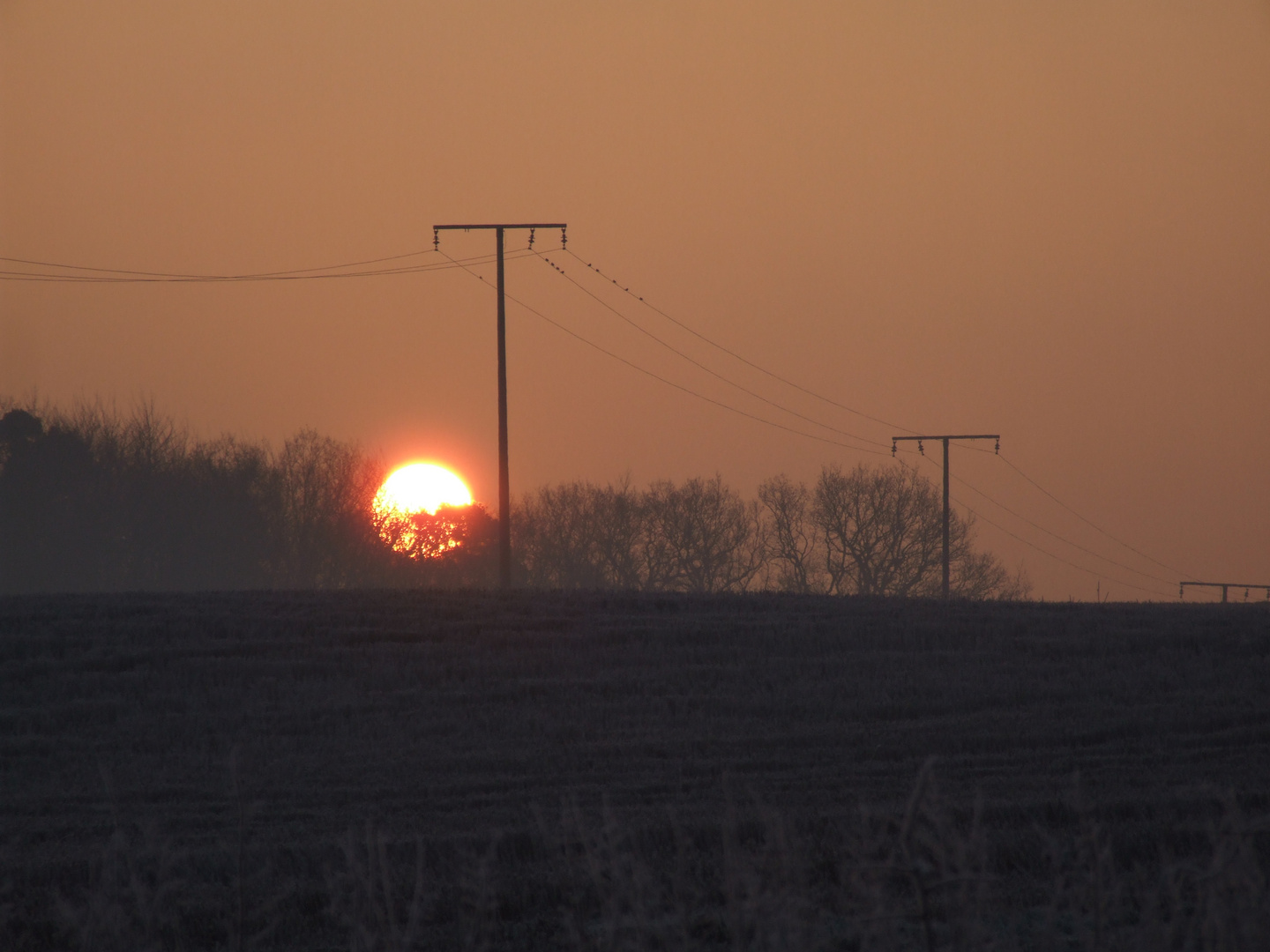 Wintersonne auf Rügen