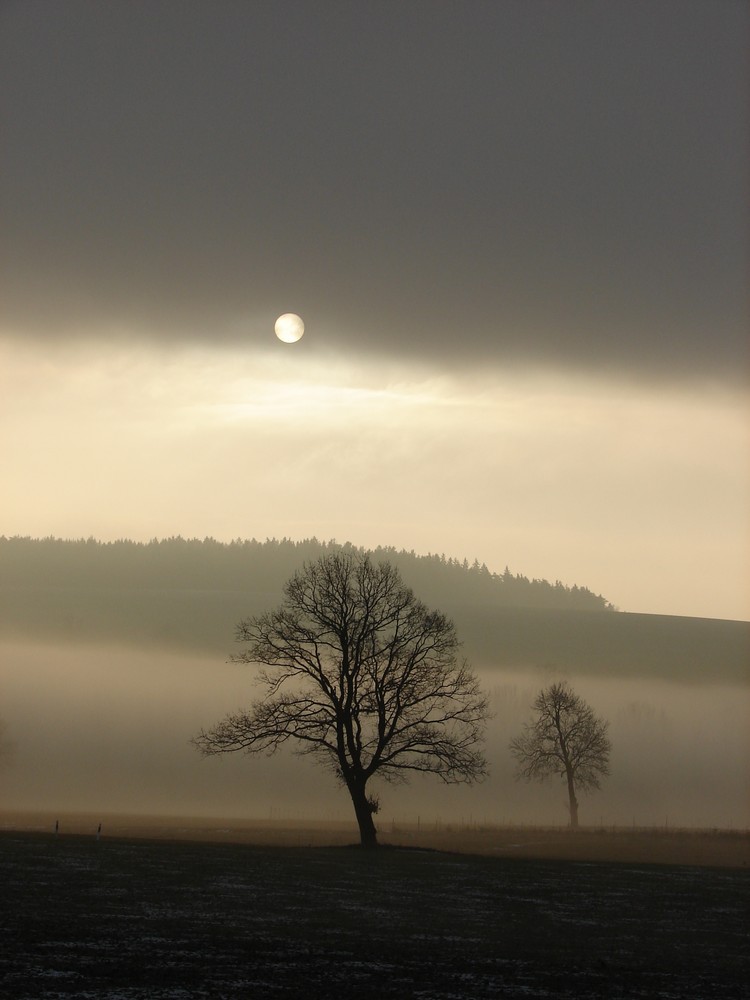 Wintersonne von Kristin Kirpschus 