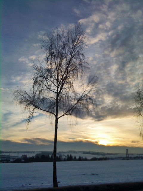 Wintersonne